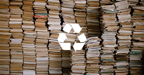 Where to Recycle Books: A Journey Through Knowledge Recycling